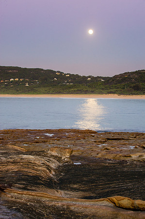 NEF_8599