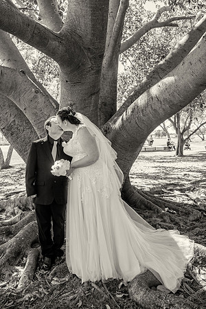 0312DSC_5021 b