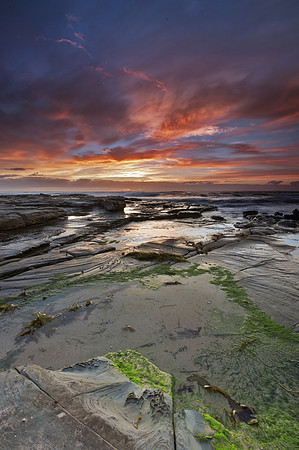 Toowoon Bay 2