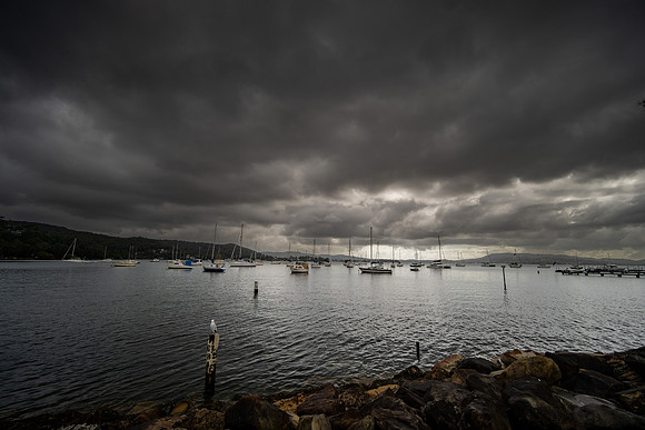 DSC_6206-1