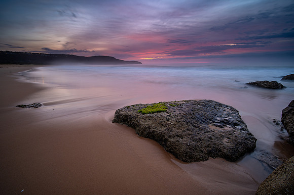 DSC_7916