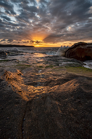 DSC_8393