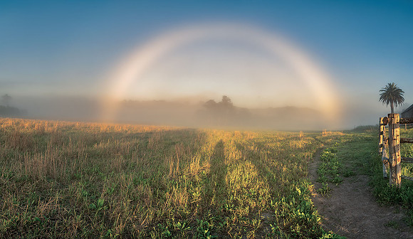 Fogbow