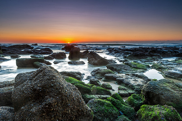 _DSC7716