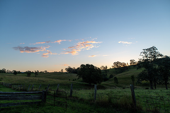 DSC_6032