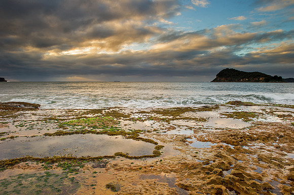 _DSC3450