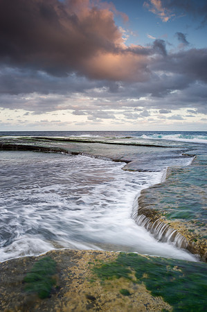 _DSC5005