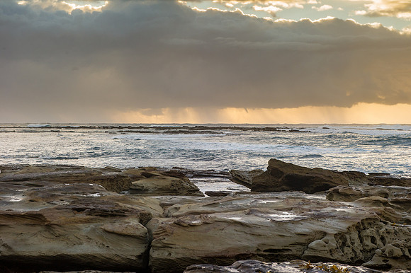 _DSC7876_1