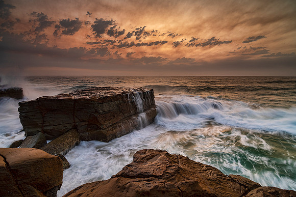 DSC_8486