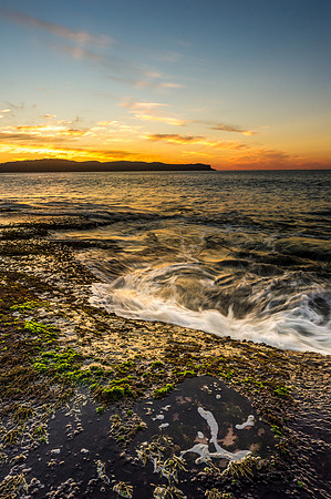 _DSC1260