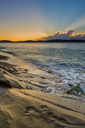 _DSC5748