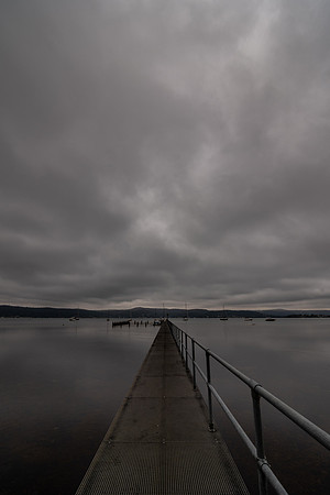 DSC_2966