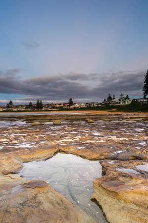 _DSC4950