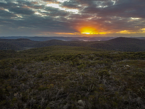 DJI_0663