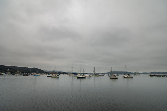 DSC_2948