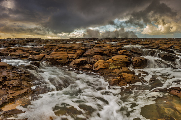 _DSC1067
