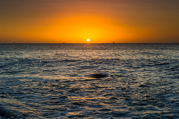 _DSC7517