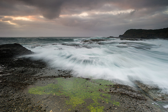 _DSC4854
