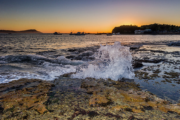 _DSC5673