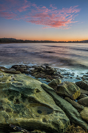 _DSC7441
