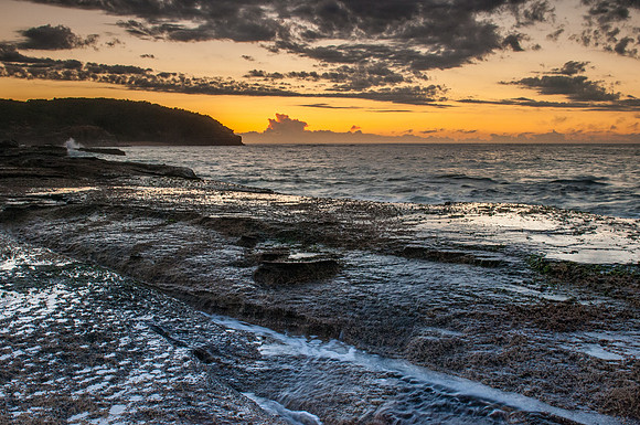 _DSC8232