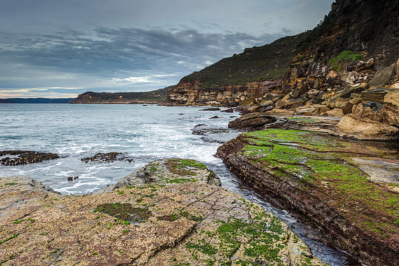 _DSC6819