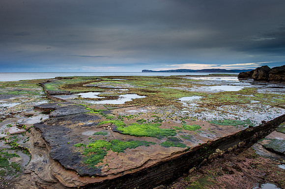 _DSC6808