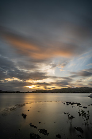 DSC_8800e
