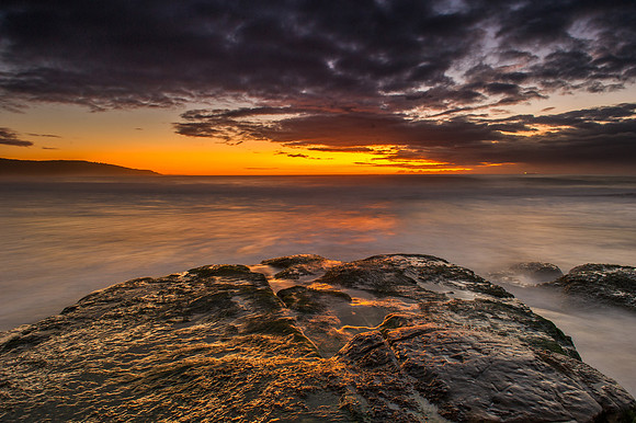 _DSC3252