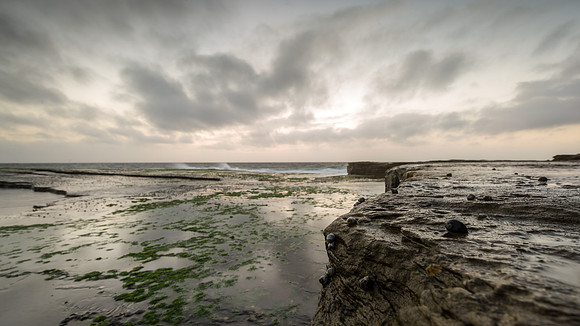 NEF_0831