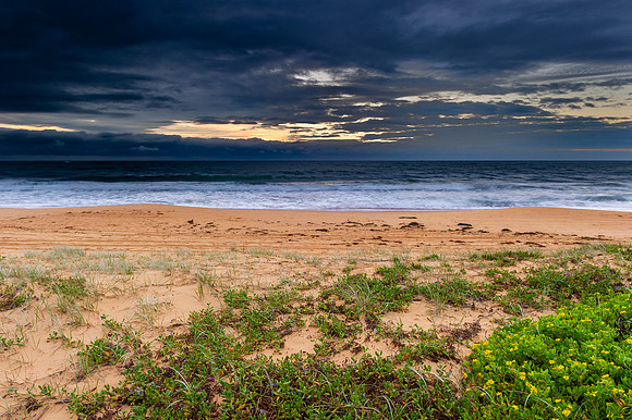 _DSC3004