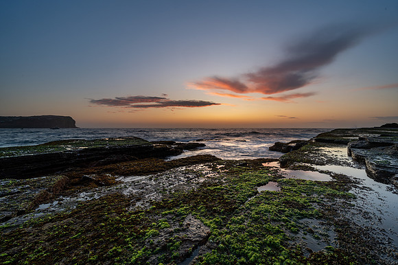 DSC_0572_1