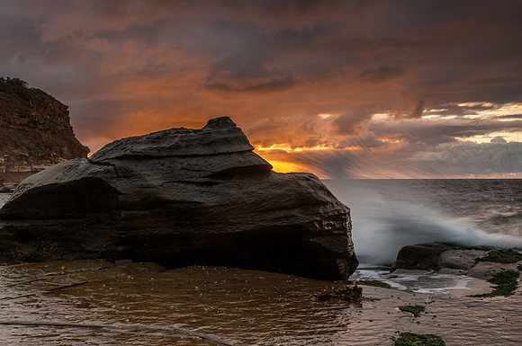 _DSC7972