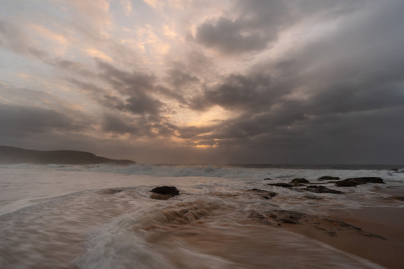 DSC_8480_1