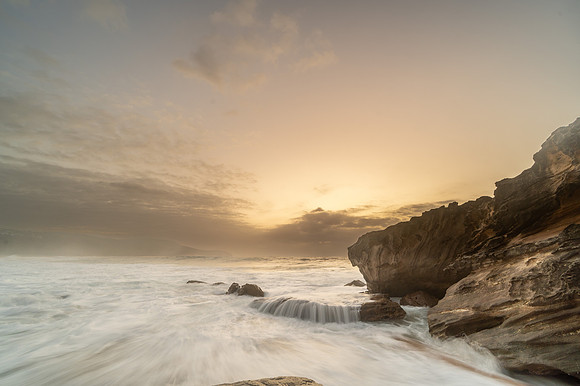 DSC_8375_1