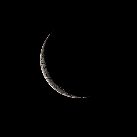 moon copy