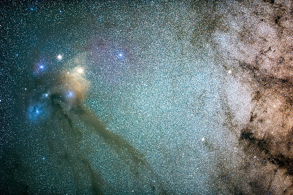 Rho Oph wide