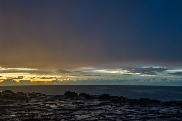 _DSC6180