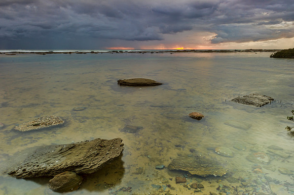 _DSC8567